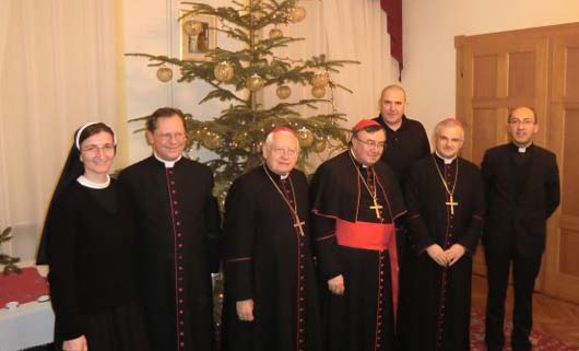 kardinal puljic u poljskoj